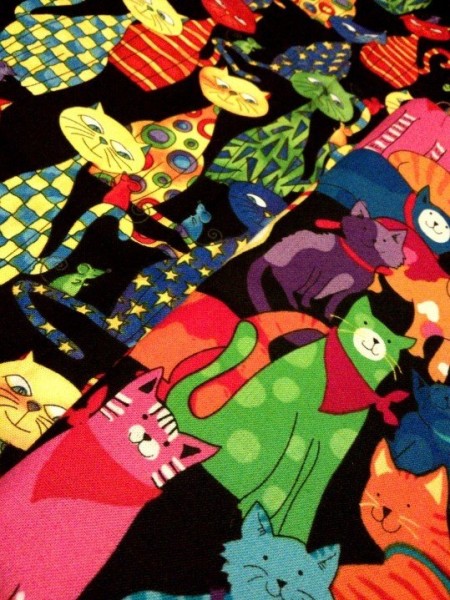 10451679_10152803177768800_2242547511913830228_n