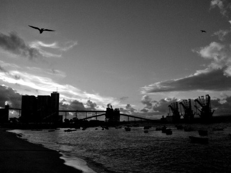 1505162_10152797931618800_5342892553336896231_n